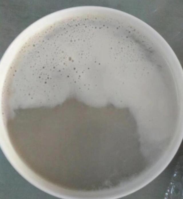 在破碎机里怎么做鲫鱼汤