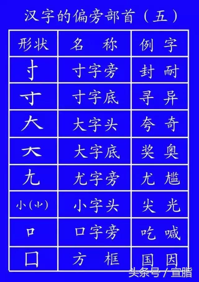 体的笔顺