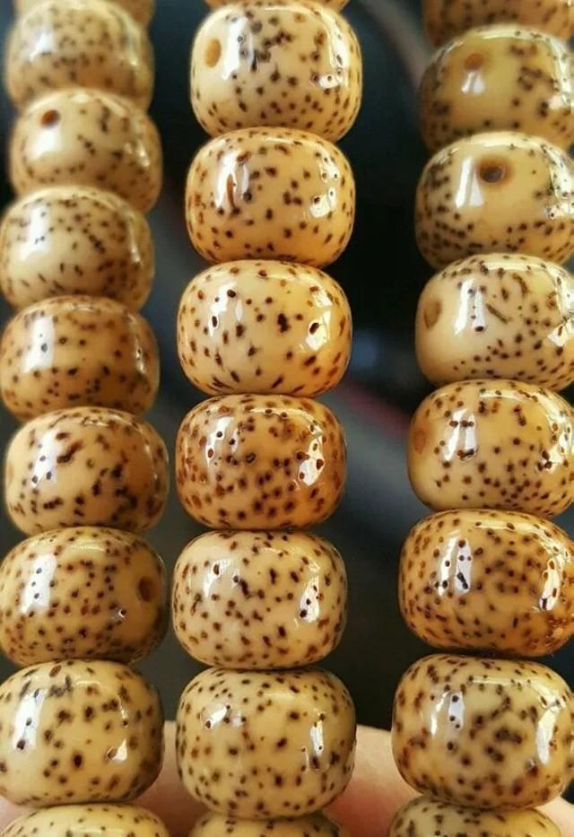 星月菩提一定要用干净的手盘,而且要把珠子的各个角度都盘到位,否则盘