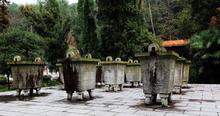 株洲河卵石制砂机厂家