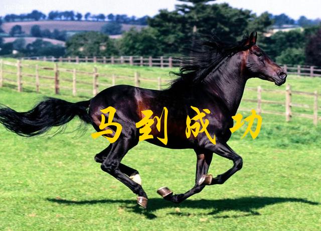 [苹果风车车共享位置]，姓氏朱的微信名字