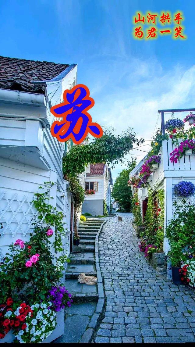 [苹果风车车共享位置]，姓氏朱的微信名字