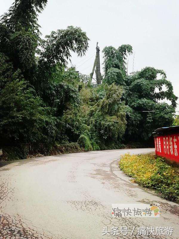 榨油大豆破碎机辊子
