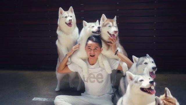 哈士奇犬舍