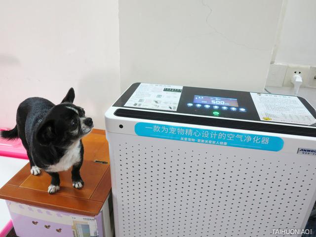 板式过滤机cad