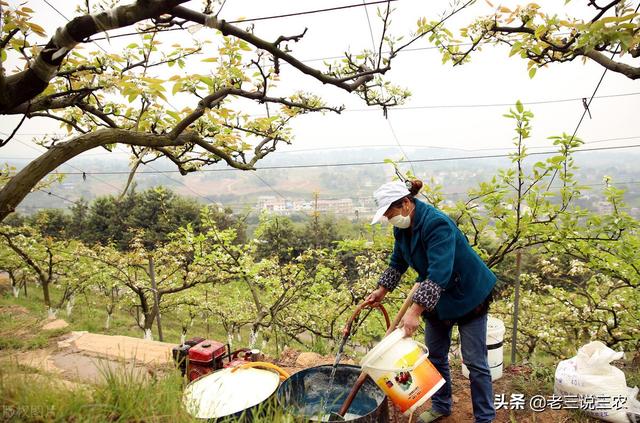 农药这样用，杀虫杀菌效果最好，牢记6点，药到病虫净，增产增收21