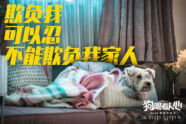 小犬当家