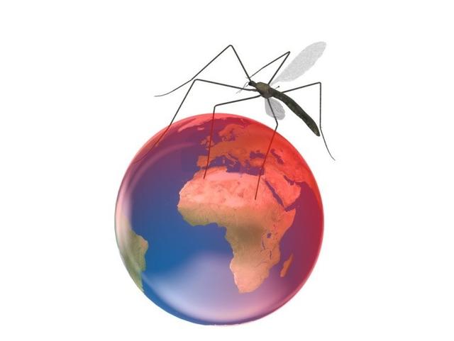 比尔盖茨曾经警告“世界上最致命的动物”：德国正在消灭它