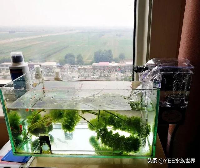 家用微型水过滤机