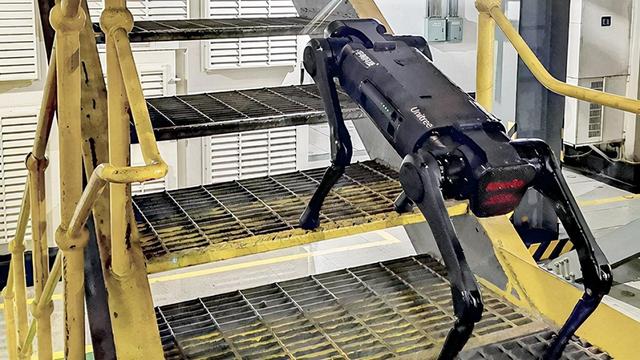 小米铁蛋迎对手，一只机器狗卖到30万，既能当警犬还能搞科研