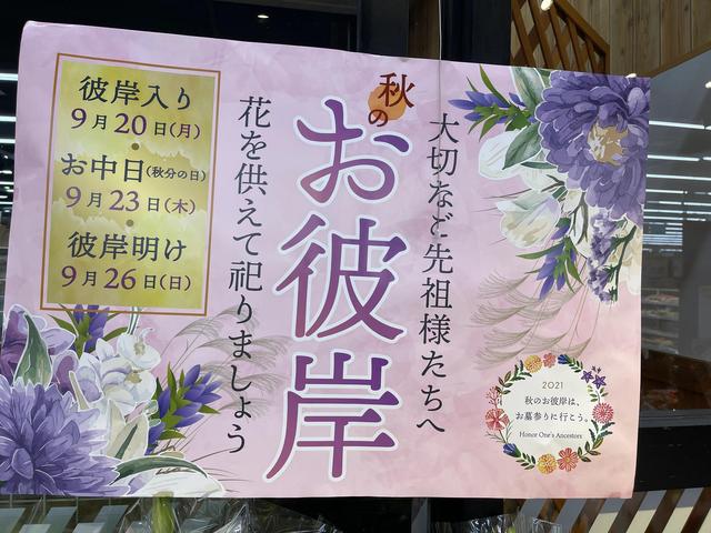 中秋 十五夜 Zh中文网