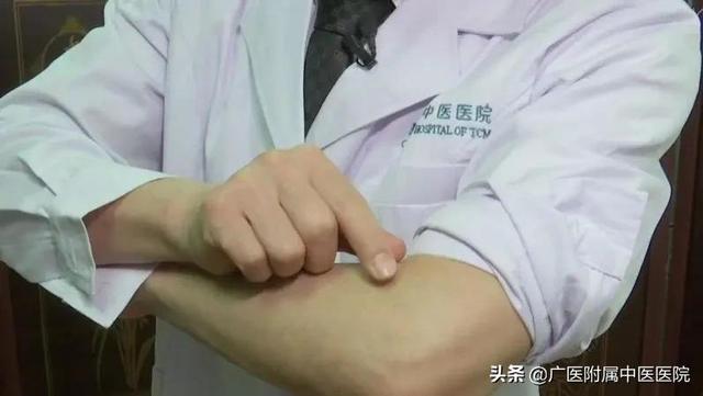 口苦口臭长湿疹？除湿5味入汤，清热排脓助解毒