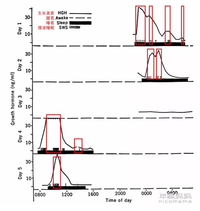 娃晚上9点还不睡，会影响长高吗？开学建议这样调整作息