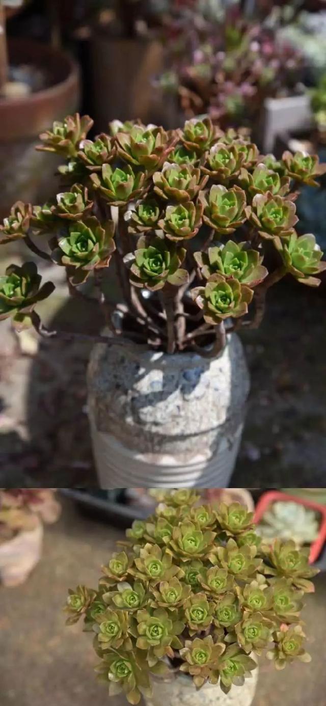 影片剧照