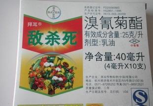 棉花蚜虫有哪些危害？怎么防治？5