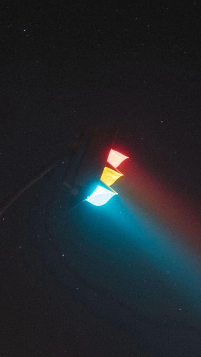 抖音很火的猫壁纸抖音网红星狗壁纸