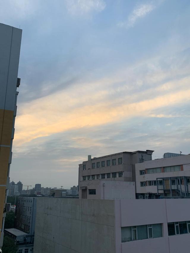 （26）“学习李玫瑾《心理抚养》有感”系列