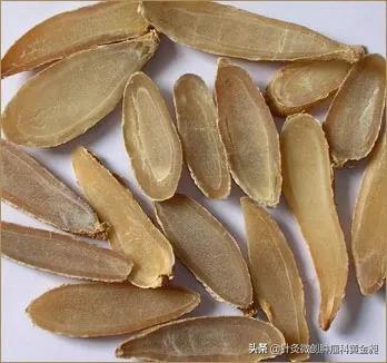 肺癌治疗，要从这五点入手