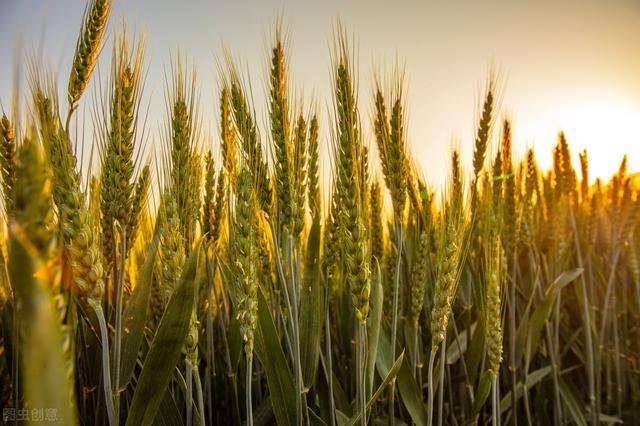 更年期最怕秋燥，容易失眠抑郁，三个“零食”送给你，有效调理
