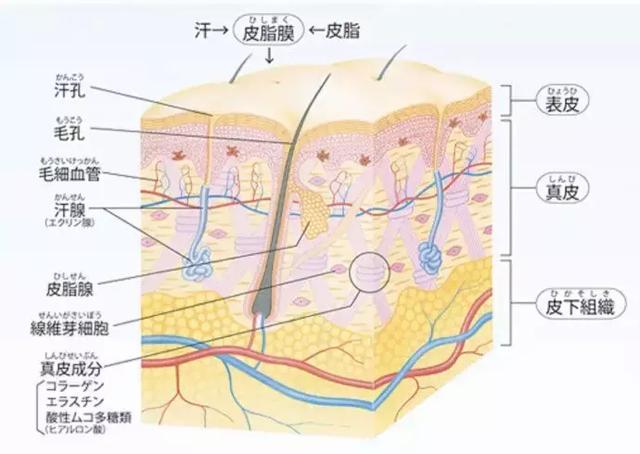 适乐肤身体乳是哪里产地