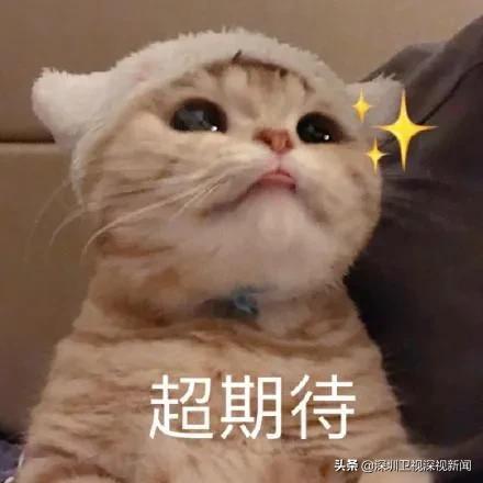 利好深圳西部交通！地铁12号线全线隧道贯通，明年底通车