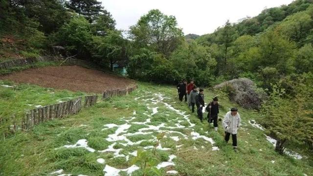 没去过医院！104岁无疾而终的道长：长寿不难，难的是健康长寿