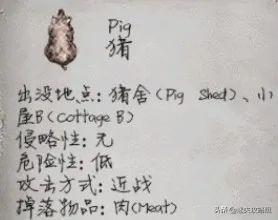 深入解读阴暗森林 最顶级的恐怖氛围神作 游戏界的黑客帝国