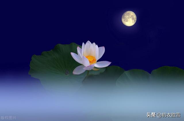 关于明月与故乡的诗句有哪些（中秋明月故人古诗词六首）