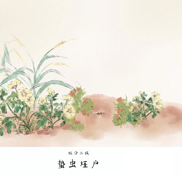 今日秋分 | 燥。全年最“燥”。喝个辛丑年的秋分汤