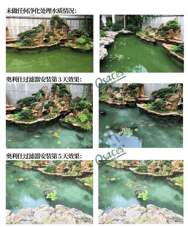 怎么选鱼池过滤机