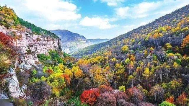 山西籍明星大全(山西籍明星名单大全)