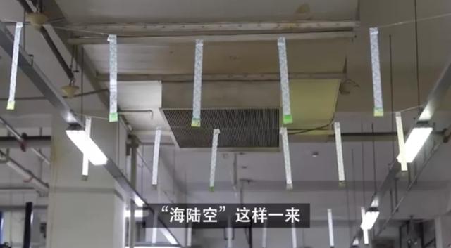 上海阿姨带火超市最隐秘的职业：你的苟且，正在成为别人的红利
