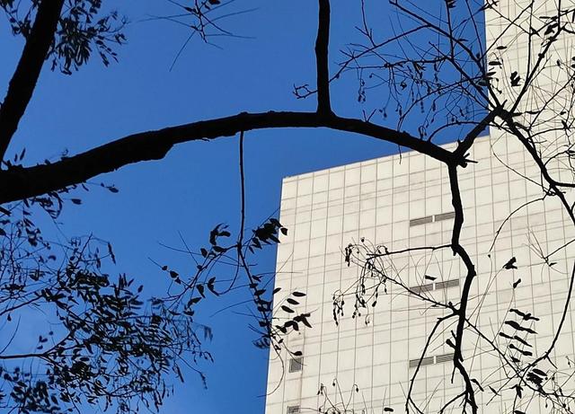 陪娃读书的苦，谁陪谁知道。只有鸡汤没有鸡饲料？对不起我不需要