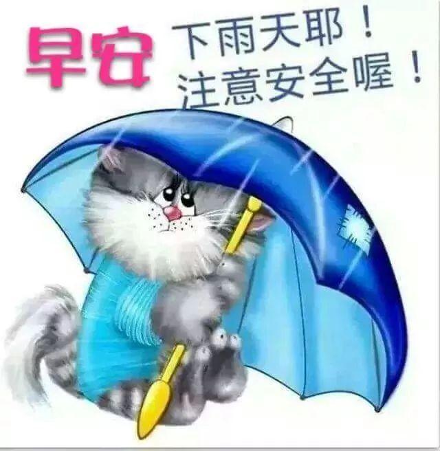 享受下雨天的心情短语