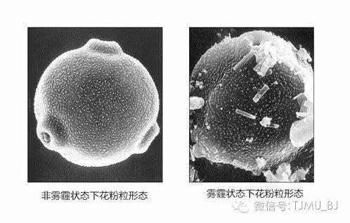 徐州全自动陶瓷过滤机厂家