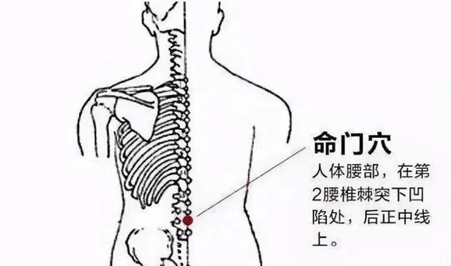 肾气足骨头才能结实，中医教你1碗补骨汤，1天2次增强骨质