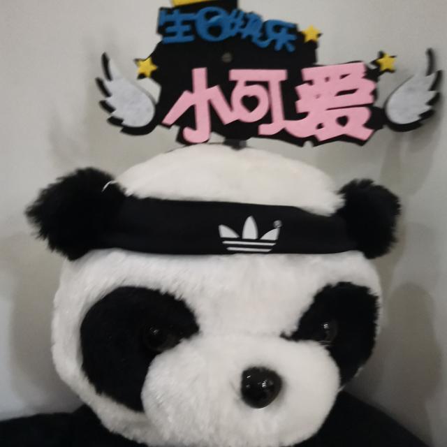 功夫熊猫喵