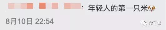 9999元雷軍新寵亮相！機器狗鐵蛋，能走能遛能空翻
