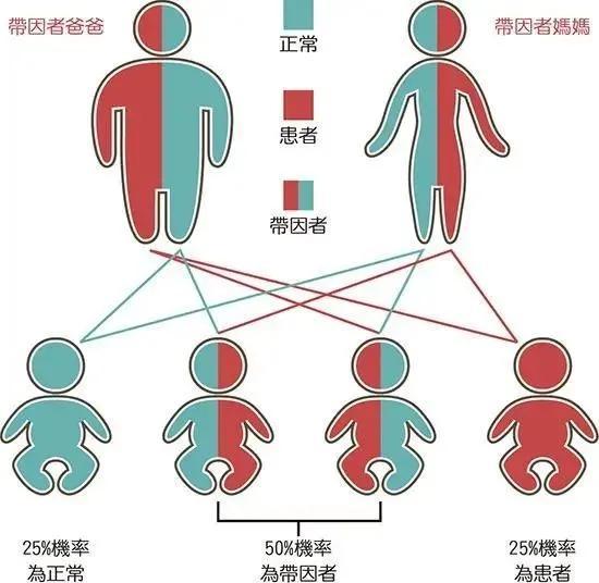 预防重度地贫孩子出生，爸爸妈妈们千万不要掉以轻心