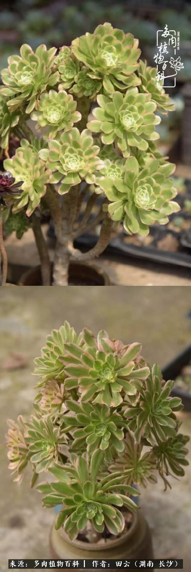 影片剧照