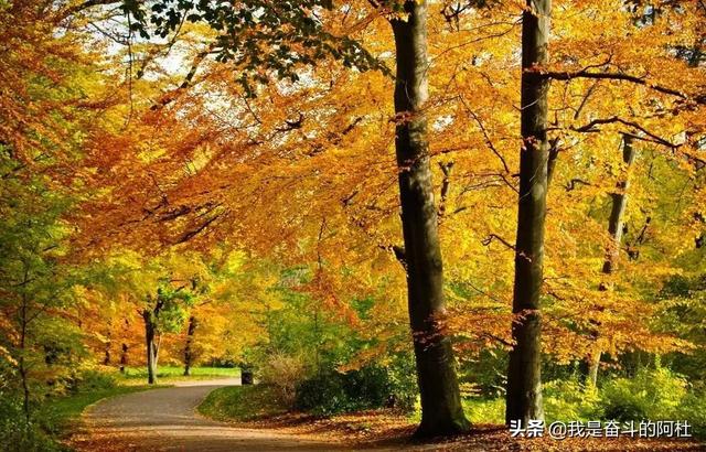 天凉好个秋，一起来养生