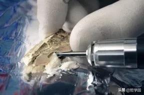 拉萨卧式过滤机