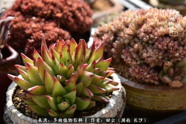 影片剧照