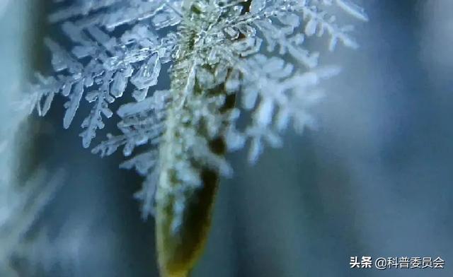 立冬将至、养生保健五原则