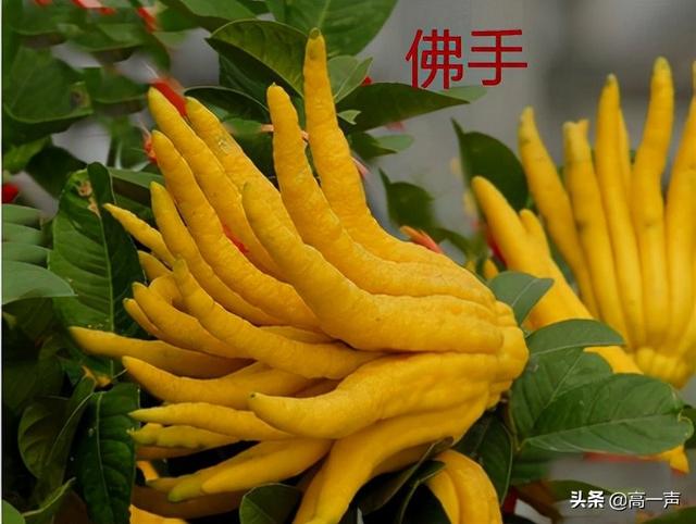 胃病反复不愈，元凶在于不良情绪！（胃病科普系列③建议收藏）