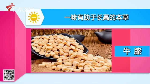 身高管理要趁早，「四大长高秘诀」大曝光