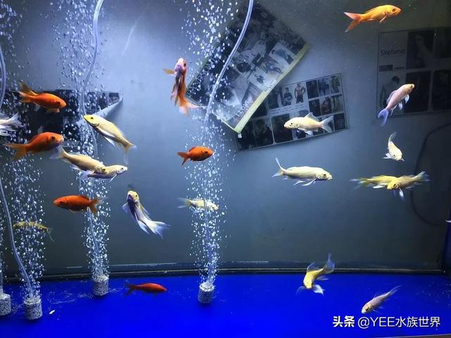 家用微型水过滤机