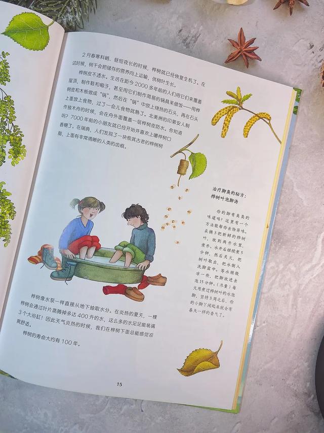 桦树叶治疗脚臭？椴树花茶能治感冒？这本自然科普绘本简直太棒了