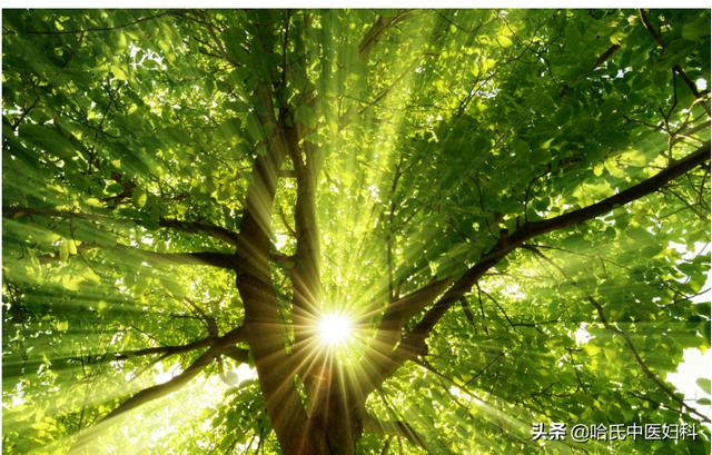 阳气不足百病生！两个升阳补益方法，男女通用，学会了受用无穷