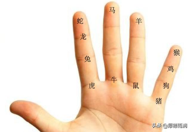 天干地支对应属相颜色 超简单，教你一只手五根手指，记住十天干、十二地支、星座和生肖